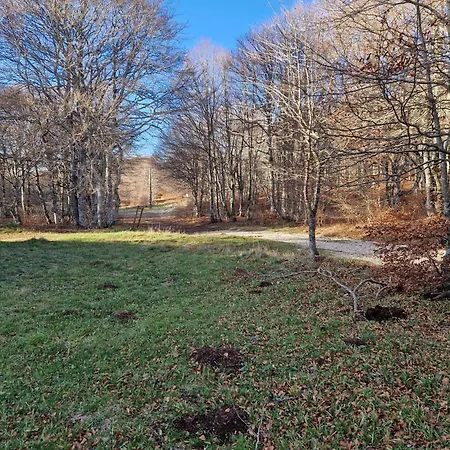 Le De L Abeille Dağ evi *