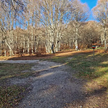 Le De L Abeille * Curieres